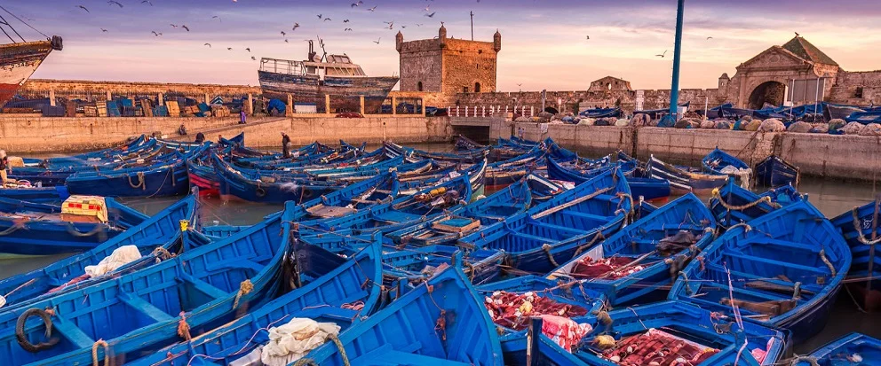 15 Days Tour From Casablanca