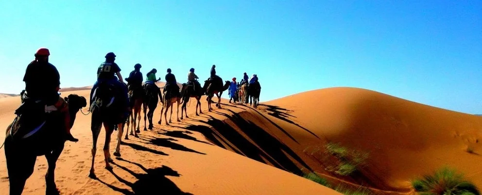 Fes to Marrakech Desert Tours