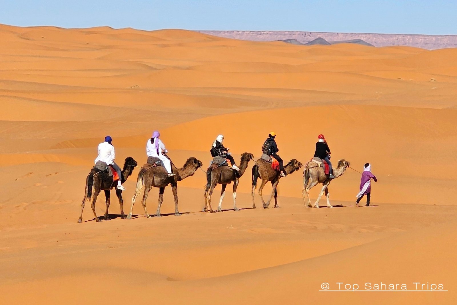 Camel Trekking in Merzouga